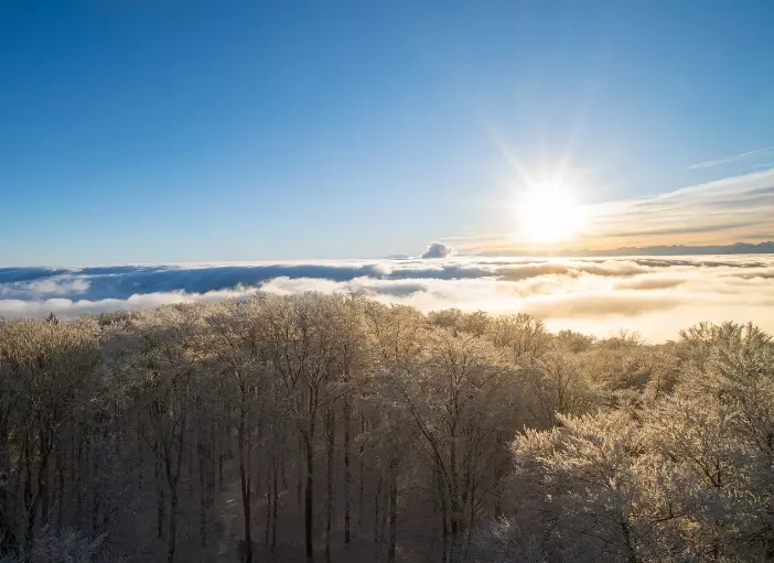 해돋이