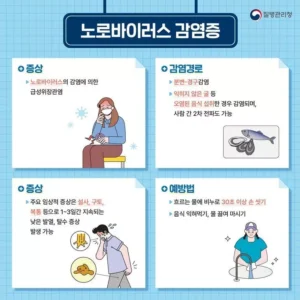 전남 노로바이러스 급증…”어패류 반드시 익혀 드세요”