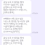 안전안내문자