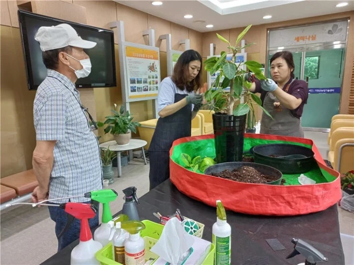 반려식물 클리닉, 기장군, 반려식물 관리, 분갈이 서비스, 도시농업