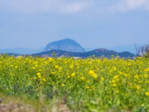 가파도