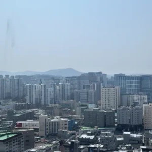 3월 25일 전국 초봄 강풍·건조특보… 미세먼지 ‘나쁨’ 주의