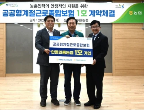 농협손해보험