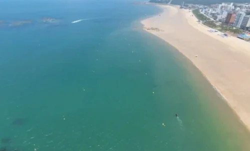 충남도
