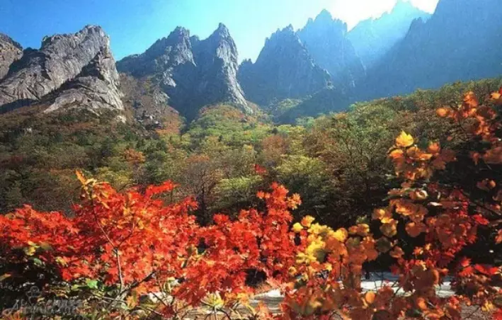 금강산