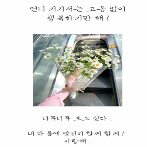 강서하