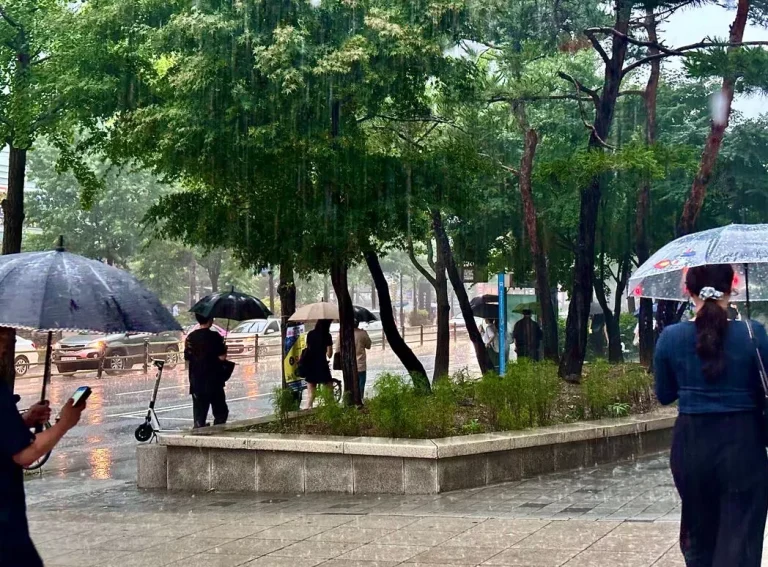 지난 밤 큰 비가 쏟아지는 날씨 를 보였으며 오늘 밤 다시 강한 비가 예보되었다.