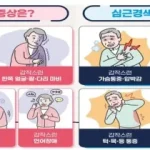 질병청 “설 연휴 중 뇌졸중·심근경색 의심되면 즉시 119 신고”
