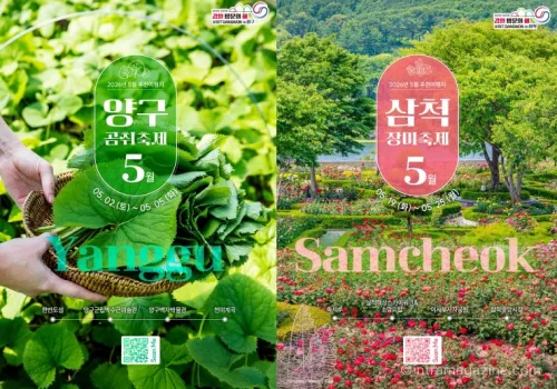 삼척 장미축제와 양구 곰취축제 일정과 할인 혜택 총정리. 5월 강원 여행지 추천과 환급 이벤트까지 확인.