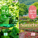 5월 여행 여기 몰렸다…장미·곰취 축제 동시 개막