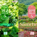 5월 여행 여기 몰렸다…장미·곰취 축제 동시 개막