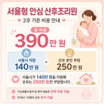 서울형 안심 산후조리원이 2026년 6월 8일부터 도봉·양천·강서·강동 4곳에서 운영된다. 2주 기준 390만 원 중 서울시가 140만 원을 지원해 일반 산모 부담은 250만 원이다.