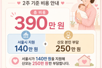 서울형 안심 산후조리원 신청 조건은? 2주 250만 원·2026년 6월 8일 예약 시작
