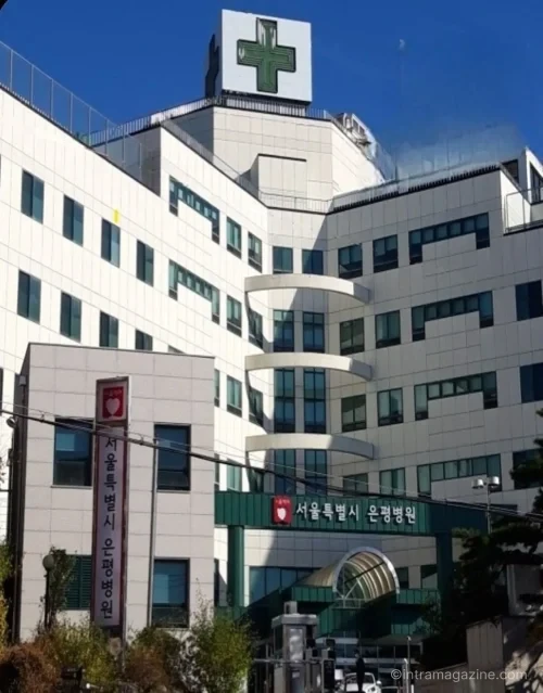 서울특별시 은평병원 영유아 발달정밀검사 안내