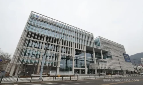 서울시교육청 2026년 9월 초등학생 등하교 알림 무료 지원