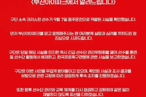 "승격 포기 선언" 부산 아이파크 크리스찬 음주운전 적발, 팀 활동 배제