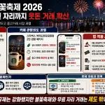 서울세계불꽃축제 여의도 한강공원 무료 명당 자리 암표 거래 논란