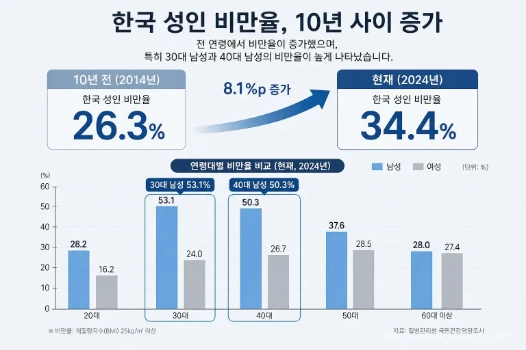 2014년과 2024년 한국 성인 비만율을 비교하고 3040 남성의 높은 비만율을 보여주는 인포그래픽