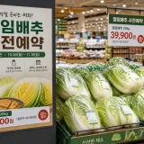 롯데마트 매장에 부착된 2026년 절임배추 사전예약 안내 포스터