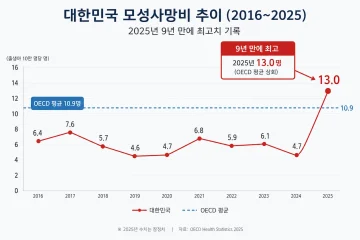 출산 중 산모 사망 9년 만에 최다, 고령 임신과 의료 공백의 이중고