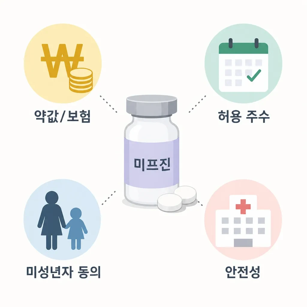 미프진 도입 관련 4대 쟁점: 약값과 보험 적용, 허용 임신 주수, 미성년자 부모 동의, 안전한 투약 방식.
