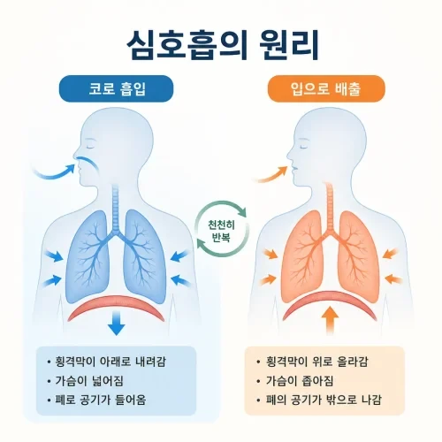 심호흡 방법 안내도
