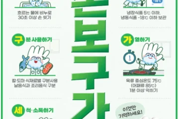 어린이집 급식 위생점검 10월 12일부터, 전국 4300곳 노로바이러스 대비
