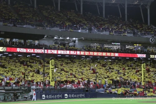 KIA LG 준PO 티켓 예매, 광주 15일·잠실 16일 오픈