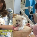 박위 가족 모임 영상에서 송지은과 윤소희가 함께 자리한 장면 관련 이미지