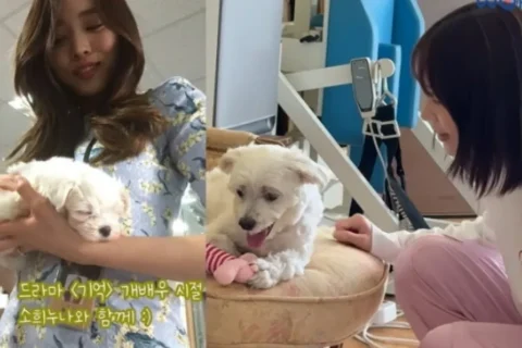 박위 추석 영상 왜 다시 논란됐나, 윤소희 ‘수양딸’ 표현과 반려견 이름까지 확산