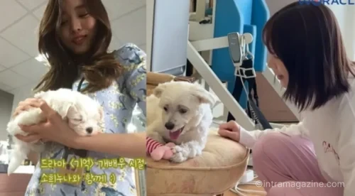 박위 가족 모임 영상에서 송지은과 윤소희가 함께 자리한 장면 관련 이미지