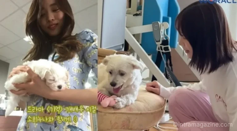 박위 가족 모임 영상에서 송지은과 윤소희가 함께 자리한 장면 관련 이미지
