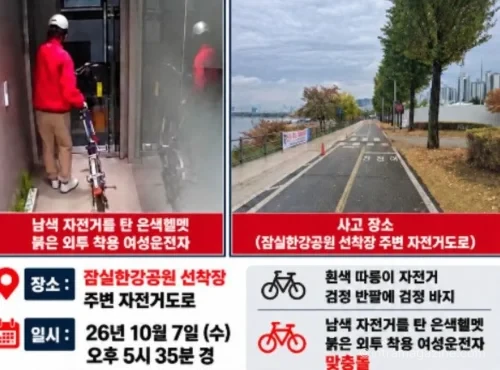 2026년 10월 7일 잠실한강공원 선착장 인근에서 발생했다는 자전거 충돌 사고