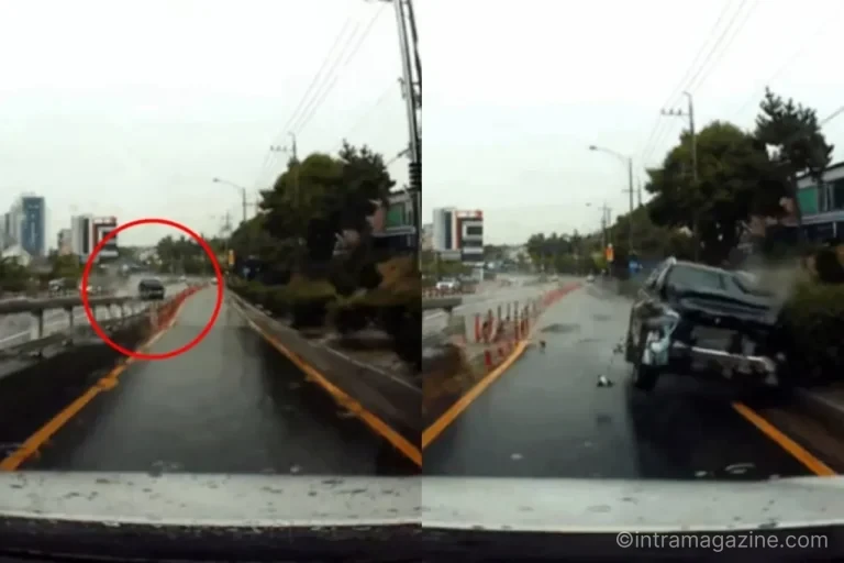 65세 이상 고령 운전자 교통사고 현황과 면허 반납 논의
