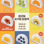 요아정 생과일 요거트 찹쌀떡 8종 라인업