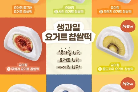 요아정 생과일 요거트 찹쌀떡 전국 판매, 8종 라인업으로 확대