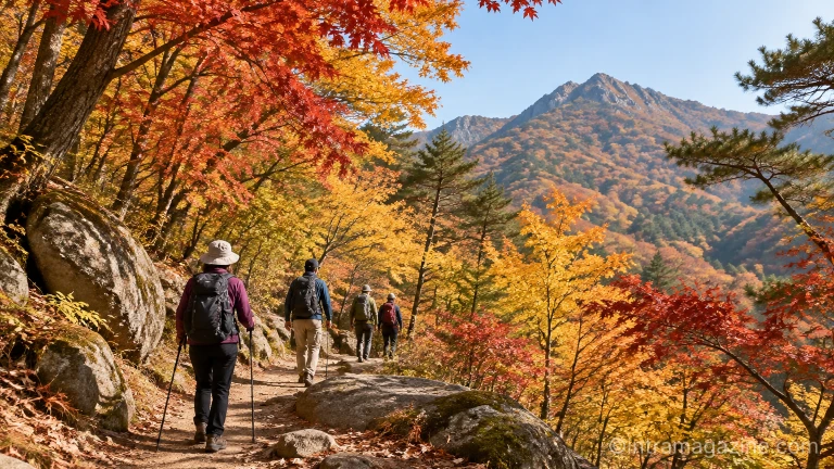 가을 단풍이 물든 청계산 원터골 등산로 풍경
