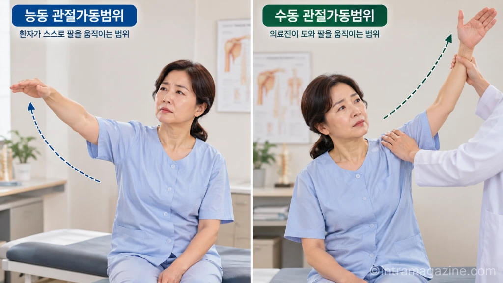 능동 관절가동범위와 수동 관절가동범위를 비교하는 전문 의료 교육용 실사형