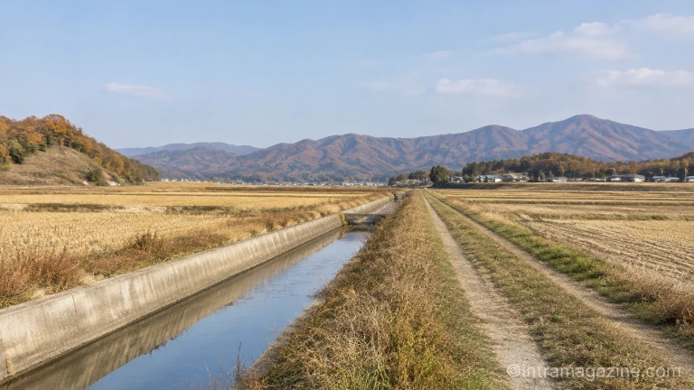  경운기 전도 사고
