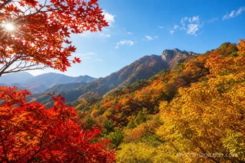 설악산의 가을 단풍이 절정을 이룬 모습