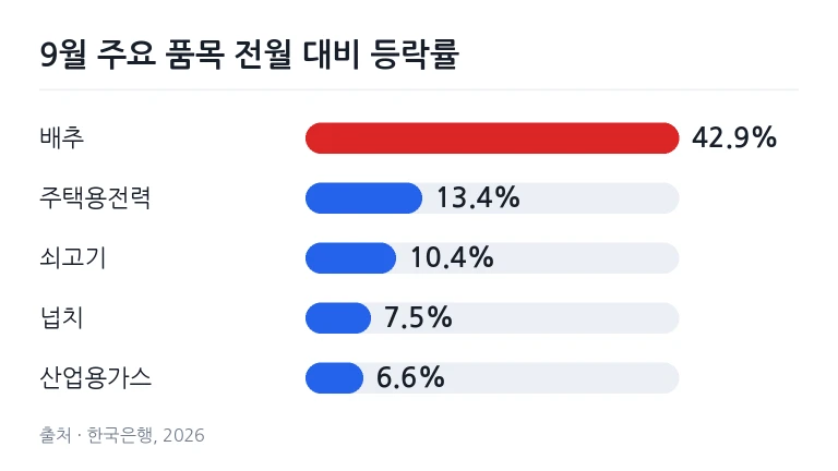 대형 할인점 채소 코너에서 진열된 농산물을 살펴보는 시민들의 모습 생산자물가 상승