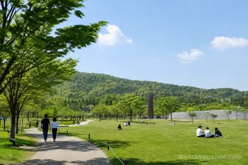 시민들이 휴식을 취하고 있는 상암 평화의공원의 푸른 전경